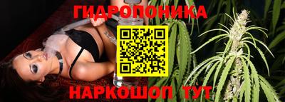 бошки Донской