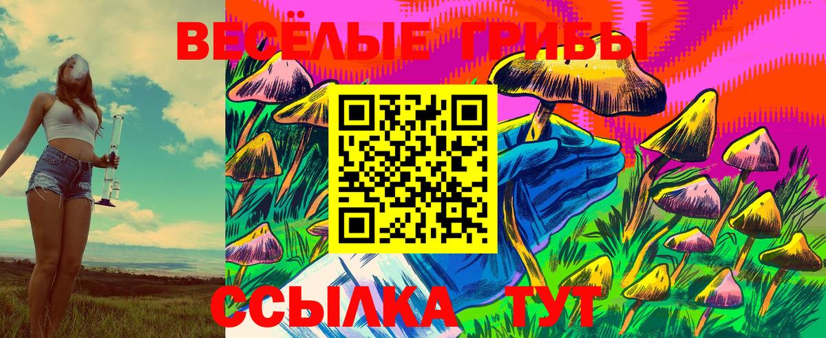 Псилоцибиновые грибы Psilocybe Сергиев Посад