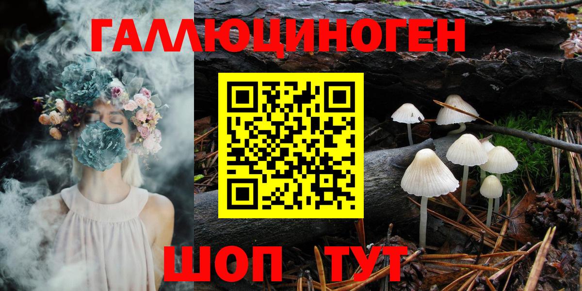 Псилоцибиновые грибы Cubensis  Галлюциногенные грибы мухоморы  Вход с VPN  что такое   Сергиев Посад 